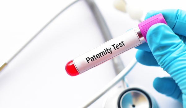 Tampa family law attorney, establishing paternity