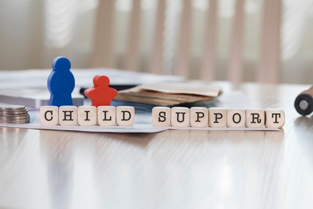 Tampa Family Law Attorneys Child Support (813) 8794600