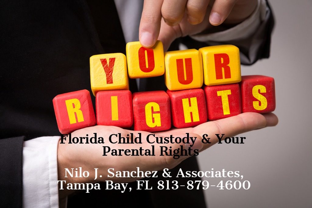 Father's Rights, Tampa Bay FL,