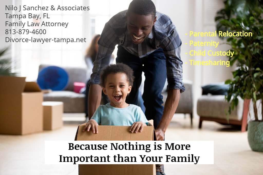 family law attorneys tampa florida