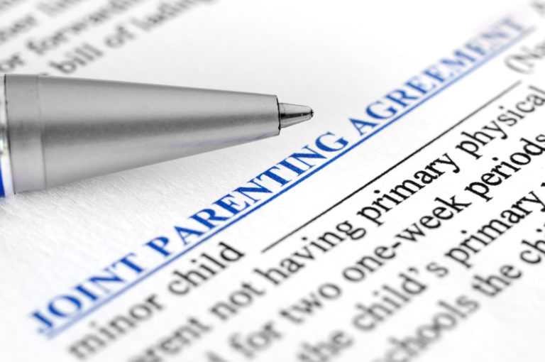 Florida Long distance parenting plans relocation
