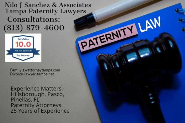 Establishing Paternity in Tampa Bay Why it Matters
