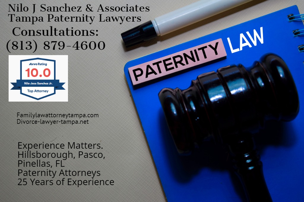 establish paternity in Tampa Bay