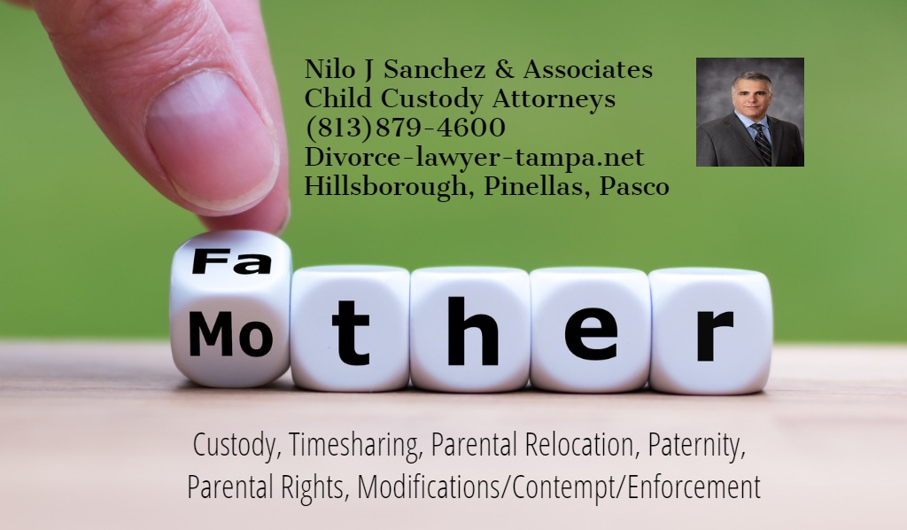 Tampa Bay child custody attorneys, Child Custody Lawyers, Tampa, South Tampa, Brandon, St Petersburg, Clearwater, Wesley Chapel, Land O Lakes, Westchase, Odessa, 