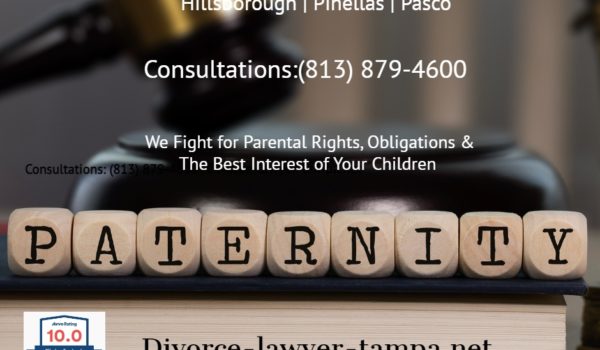 Tampa Paternity Attorneys