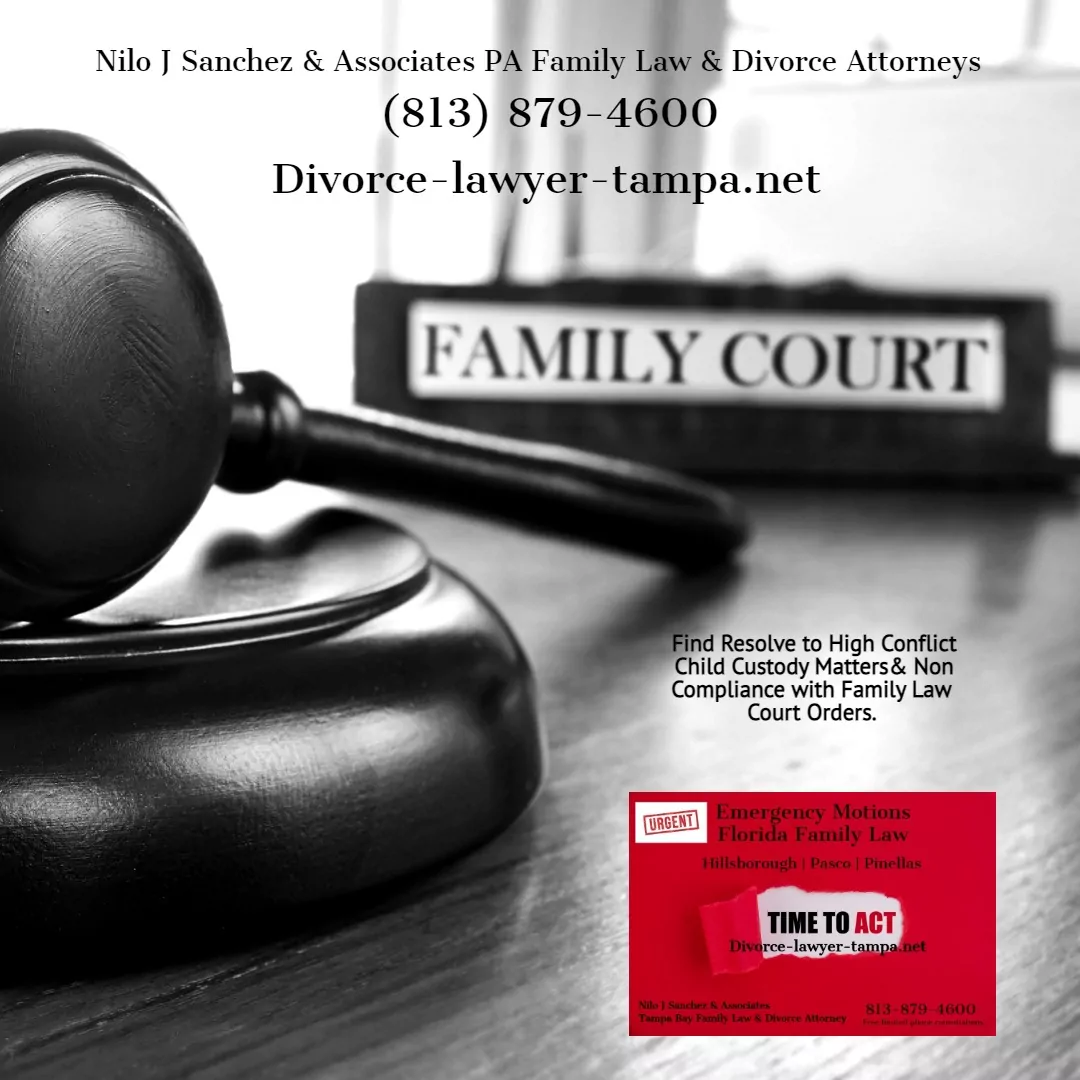 Tampa Child Custody Custody Rights of Unmarried Parents