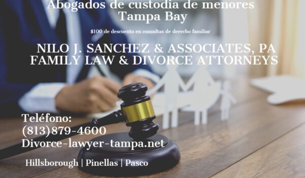 Abogado de custodia infantil en Tampa Bay